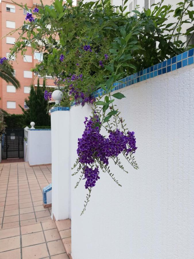 Casablanca Mediterranean Benidorm Exterior foto